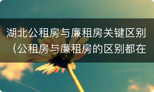 湖北公租房与廉租房关键区别（公租房与廉租房的区别都在此,别再搞错了!）