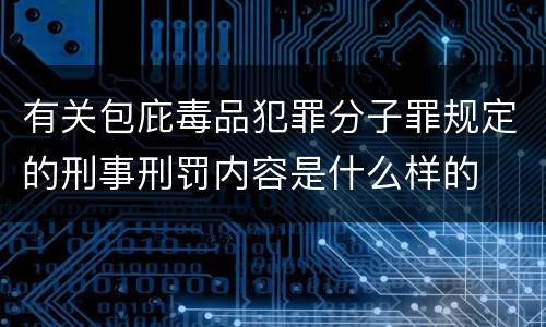 有关包庇毒品犯罪分子罪规定的刑事刑罚内容是什么样的