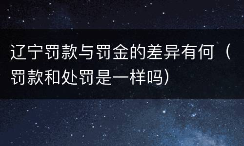 辽宁罚款与罚金的差异有何（罚款和处罚是一样吗）