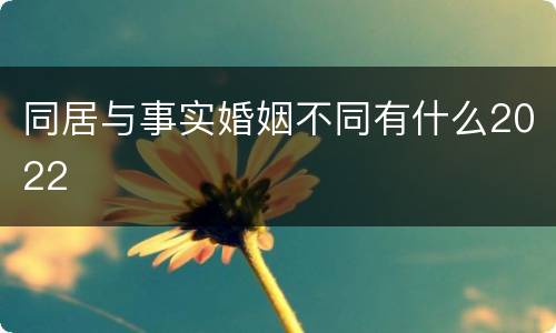 同居与事实婚姻不同有什么2022