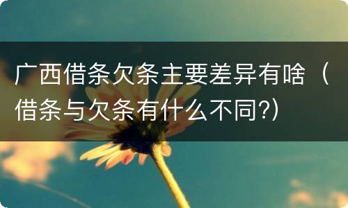 广西借条欠条主要差异有啥（借条与欠条有什么不同?）