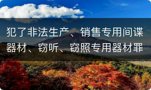 犯了非法生产、销售专用间谍器材、窃听、窃照专用器材罪既遂怎么判刑