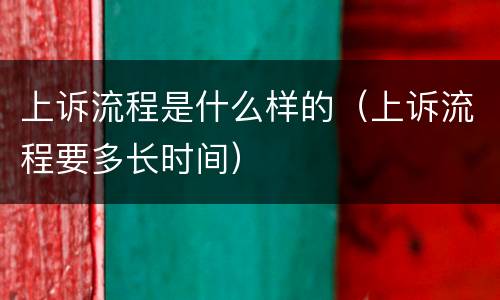 上诉流程是什么样的（上诉流程要多长时间）