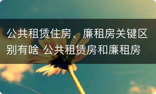 公共租赁住房、廉租房关键区别有啥 公共租赁房和廉租房