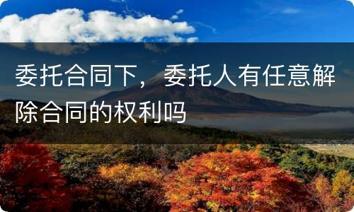 委托合同下，委托人有任意解除合同的权利吗