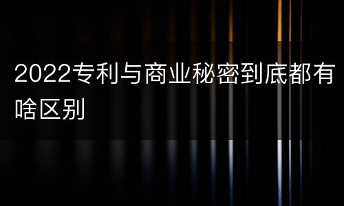 2022专利与商业秘密到底都有啥区别