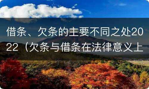 借条、欠条的主要不同之处2022（欠条与借条在法律意义上的不同）