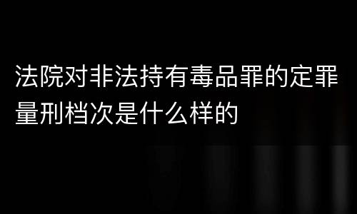 法院对非法持有毒品罪的定罪量刑档次是什么样的