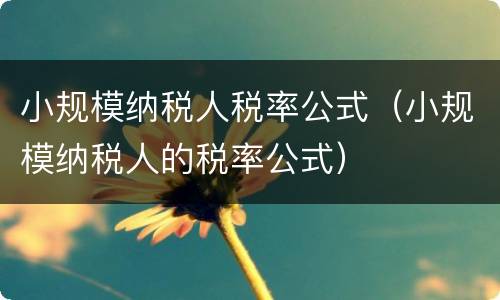 小规模纳税人税率公式（小规模纳税人的税率公式）