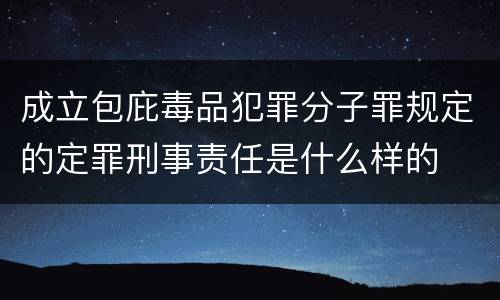 成立包庇毒品犯罪分子罪规定的定罪刑事责任是什么样的