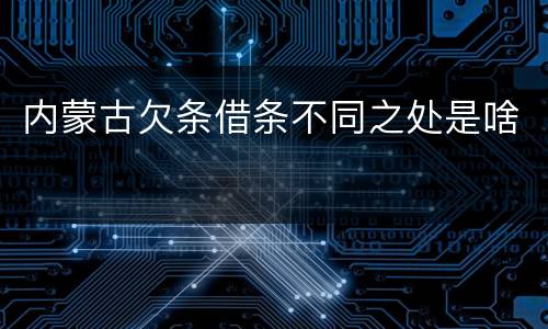 内蒙古欠条借条不同之处是啥