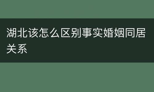 湖北该怎么区别事实婚姻同居关系