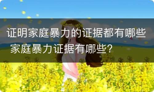 证明家庭暴力的证据都有哪些 家庭暴力证据有哪些?