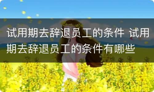 试用期去辞退员工的条件 试用期去辞退员工的条件有哪些