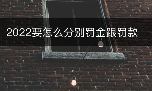 2022要怎么分别罚金跟罚款