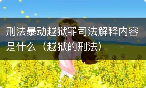 刑法暴动越狱罪司法解释内容是什么（越狱的刑法）