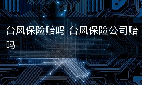 台风保险赔吗 台风保险公司赔吗