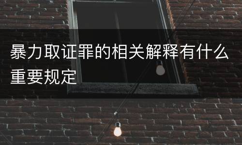 暴力取证罪的相关解释有什么重要规定