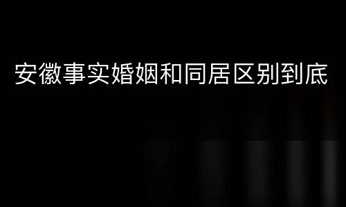 安徽事实婚姻和同居区别到底