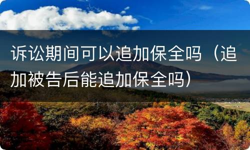 诉讼期间可以追加保全吗（追加被告后能追加保全吗）