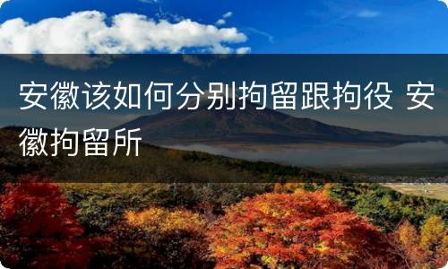 安徽该如何分别拘留跟拘役 安徽拘留所