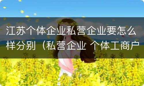 江苏个体企业私营企业要怎么样分别（私营企业 个体工商户）