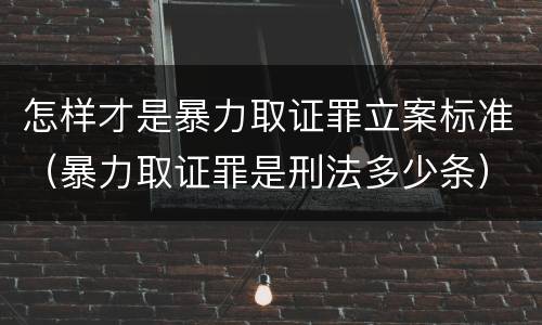 怎样才是暴力取证罪立案标准（暴力取证罪是刑法多少条）