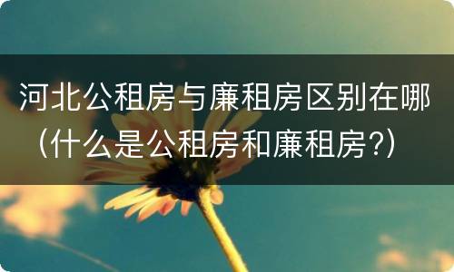 河北公租房与廉租房区别在哪（什么是公租房和廉租房?）