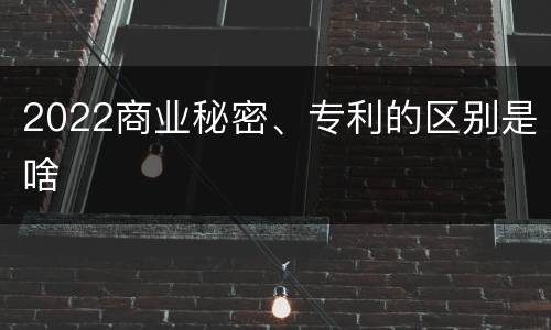 2022商业秘密、专利的区别是啥