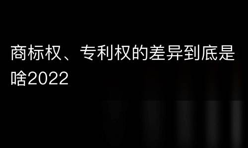 商标权、专利权的差异到底是啥2022