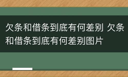 欠条和借条到底有何差别 欠条和借条到底有何差别图片