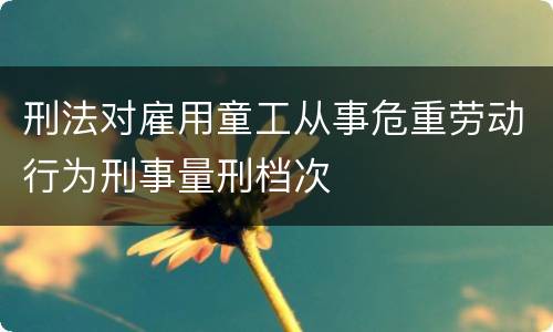 刑法对雇用童工从事危重劳动行为刑事量刑档次