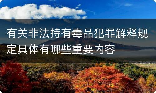 有关非法持有毒品犯罪解释规定具体有哪些重要内容