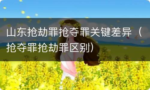 山东抢劫罪抢夺罪关键差异（抢夺罪抢劫罪区别）