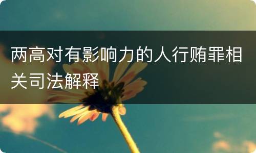 两高对有影响力的人行贿罪相关司法解释