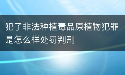 犯了非法种植毒品原植物犯罪是怎么样处罚判刑