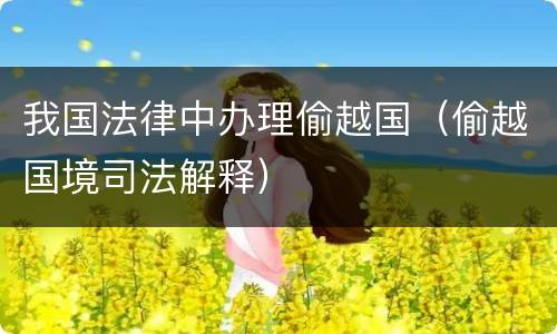 我国法律中办理偷越国（偷越国境司法解释）