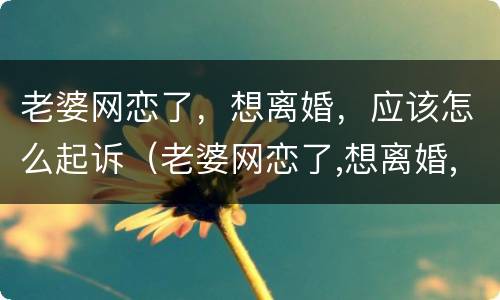 老婆网恋了，想离婚，应该怎么起诉（老婆网恋了,想离婚,应该怎么起诉呢）