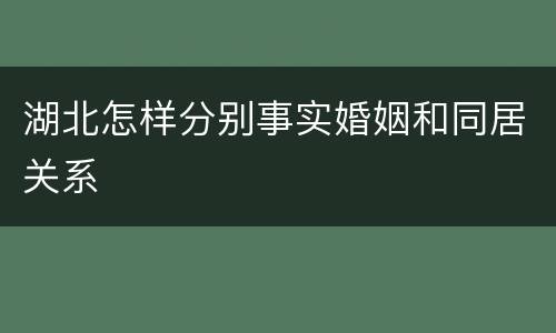 湖北怎样分别事实婚姻和同居关系