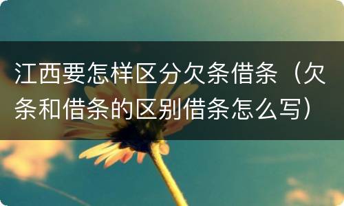 江西要怎样区分欠条借条（欠条和借条的区别借条怎么写）