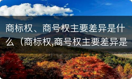 商标权、商号权主要差异是什么（商标权,商号权主要差异是什么意思）