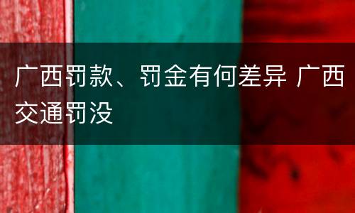 广西罚款、罚金有何差异 广西交通罚没