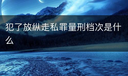 犯了放纵走私罪量刑档次是什么