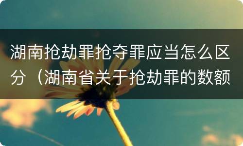 湖南抢劫罪抢夺罪应当怎么区分（湖南省关于抢劫罪的数额规定）