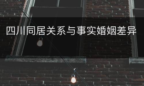 四川同居关系与事实婚姻差异