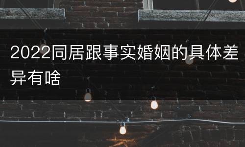2022同居跟事实婚姻的具体差异有啥
