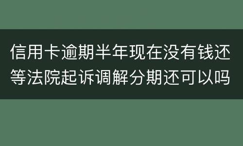 信用卡逾期半年现在没有钱还等法院起诉调解分期还可以吗