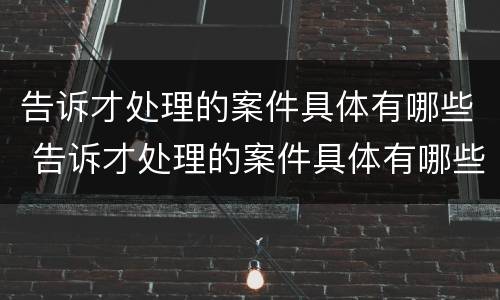 告诉才处理的案件具体有哪些 告诉才处理的案件具体有哪些情况