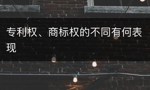 专利权、商标权的不同有何表现