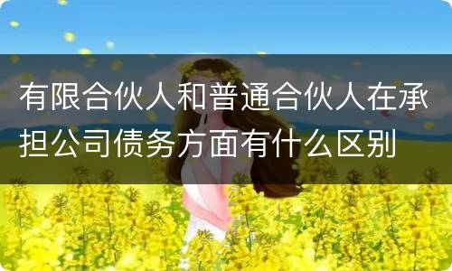 有限合伙人和普通合伙人在承担公司债务方面有什么区别